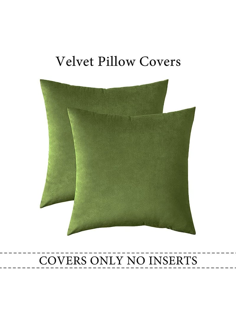 Linen Basics Decorative Holland Velvet Cushion Square Pillow Covers Pillowcases for Sofa Bedroom with Invisible Zipper Light Green Set of 5 Piece 16X16 Inches