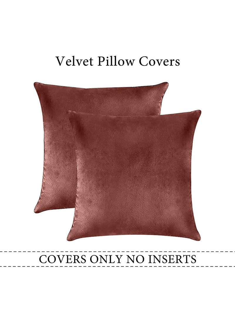 Linen Basics Decorative Holland Velvet Cushion Square Pillow Covers Pillowcases for Sofa Bedroom with Invisible Zipper Peach Set of 5 Piece 16X16 Inches