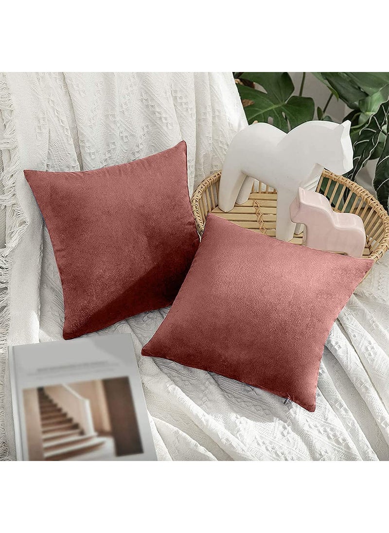 Linen Basics Decorative Holland Velvet Cushion Square Pillow Covers Pillowcases for Sofa Bedroom with Invisible Zipper Peach Set of 5 Piece 16X16 Inches
