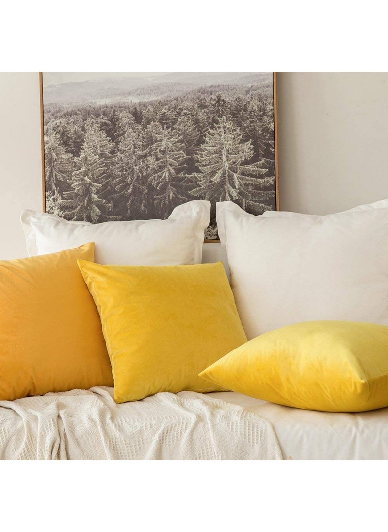 Linen Basics Decorative Holland Velvet Cushion Square Pillow Covers Pillowcases for Sofa Bedroom with Invisible Zipper Yellow Set of 5 Piece 16X16 Inches