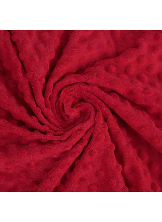 Pro Goleem Baby Soft Minky Dot Blanket with Silky Satin Backing Gift for Boys and Girls (Red, 30’’ x 40’’)