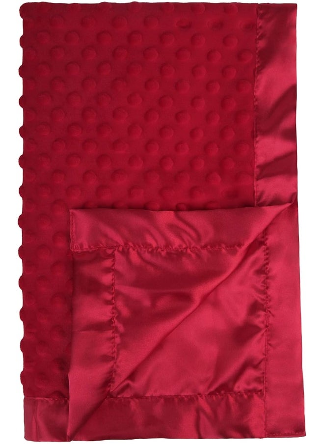 Pro Goleem Baby Soft Minky Dot Blanket with Silky Satin Backing Gift for Boys and Girls (Red, 30’’ x 40’’)