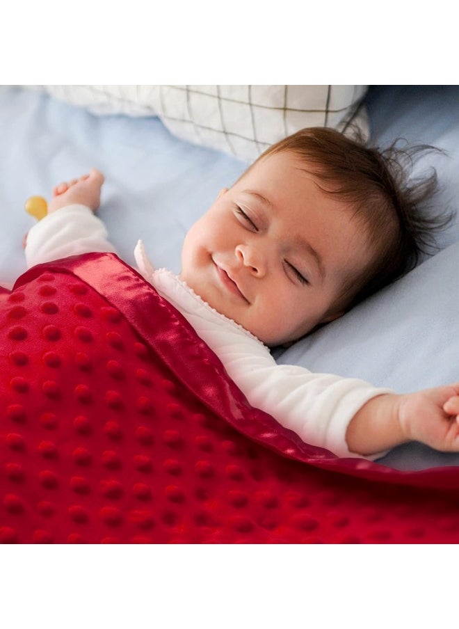 Pro Goleem Baby Soft Minky Dot Blanket with Silky Satin Backing Gift for Boys and Girls (Red, 30’’ x 40’’)