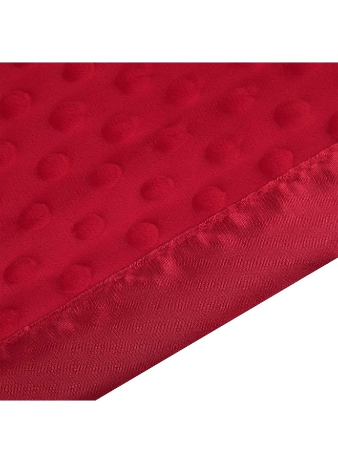 Pro Goleem Baby Soft Minky Dot Blanket with Silky Satin Backing Gift for Boys and Girls (Red, 30’’ x 40’’)