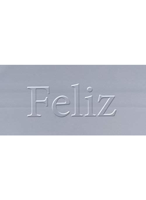 Feliz Plastic Rectangular Storage Box 4 pieces Transparent 115 x 75 x 275 inches