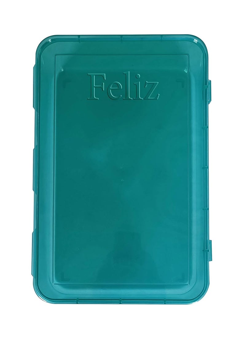 Feliz Green Colored Plastic Large Storage Boxes Size 115x75x275 inches Set of 6