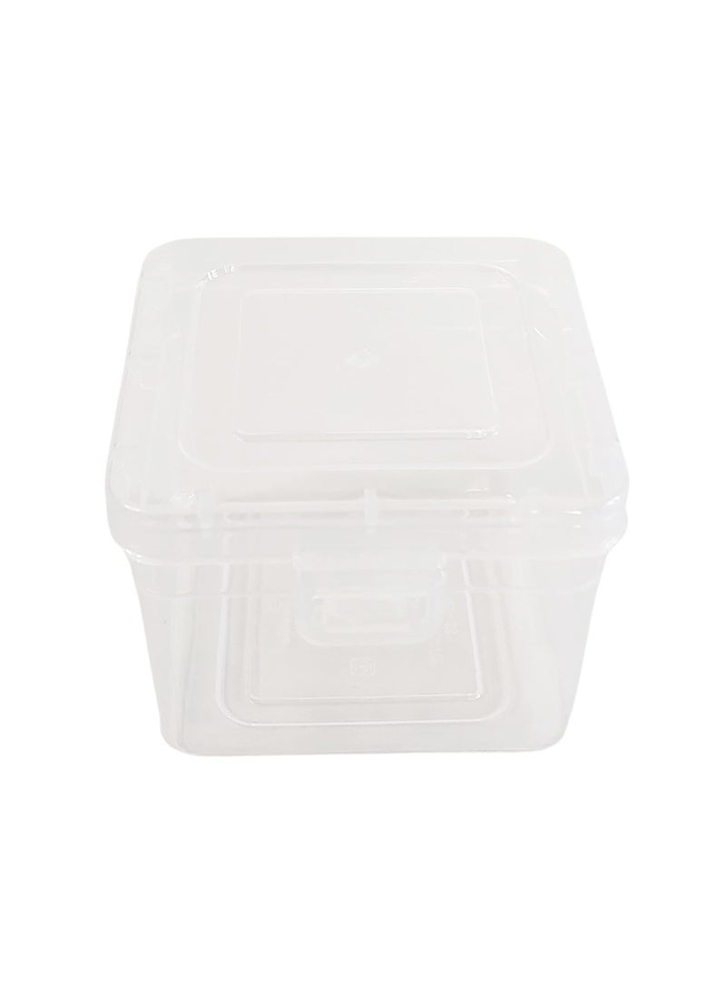 Feliz Clear Plastic Small Storage Boxes Size 325 x 325 x 25 inches Set of 36