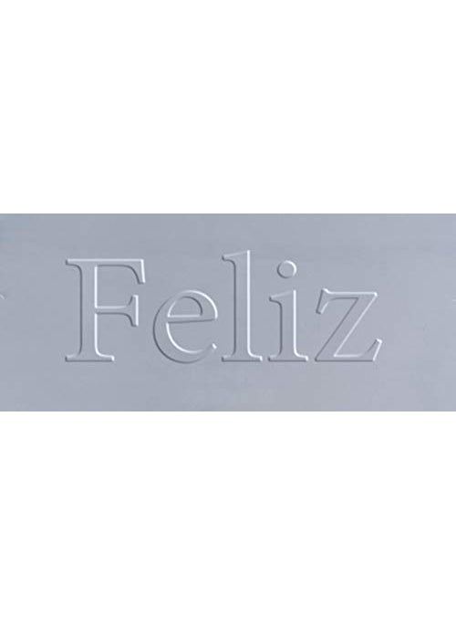 Feliz Plastic Rectangular Storage Box 3 Pieces Transparent 1025 x 675 x 25 inches