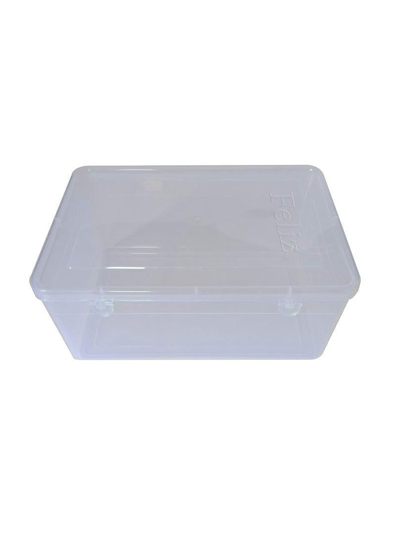 Feliz Clear Plastic Extra Large Storage Box Set of 3 Size 115 x 775 x 5 inches Transparent Rectangular
