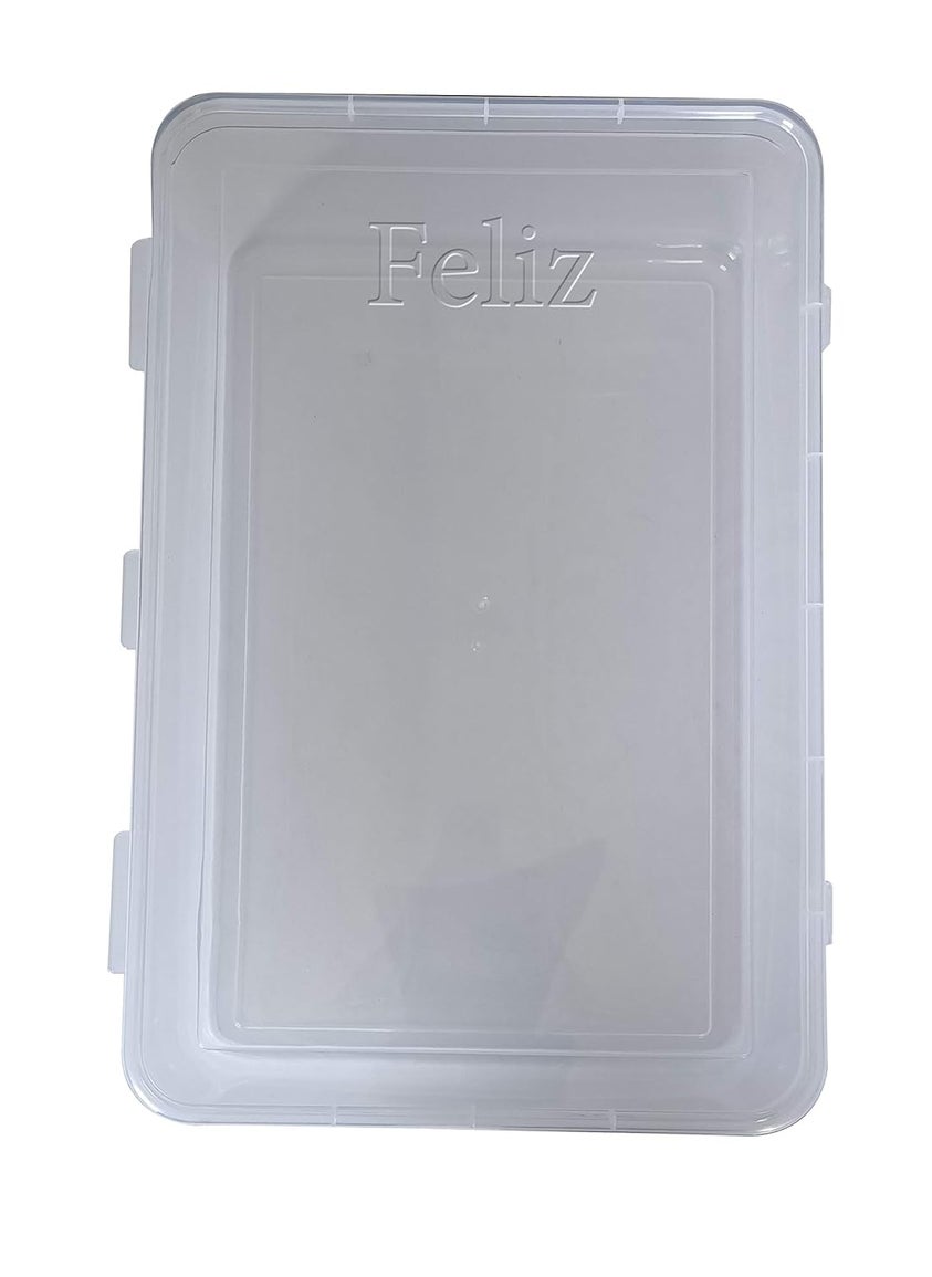 Feliz Clear Plastic Extra Large Storage Box Set of 3 Size 115 x 775 x 5 inches Transparent Rectangular