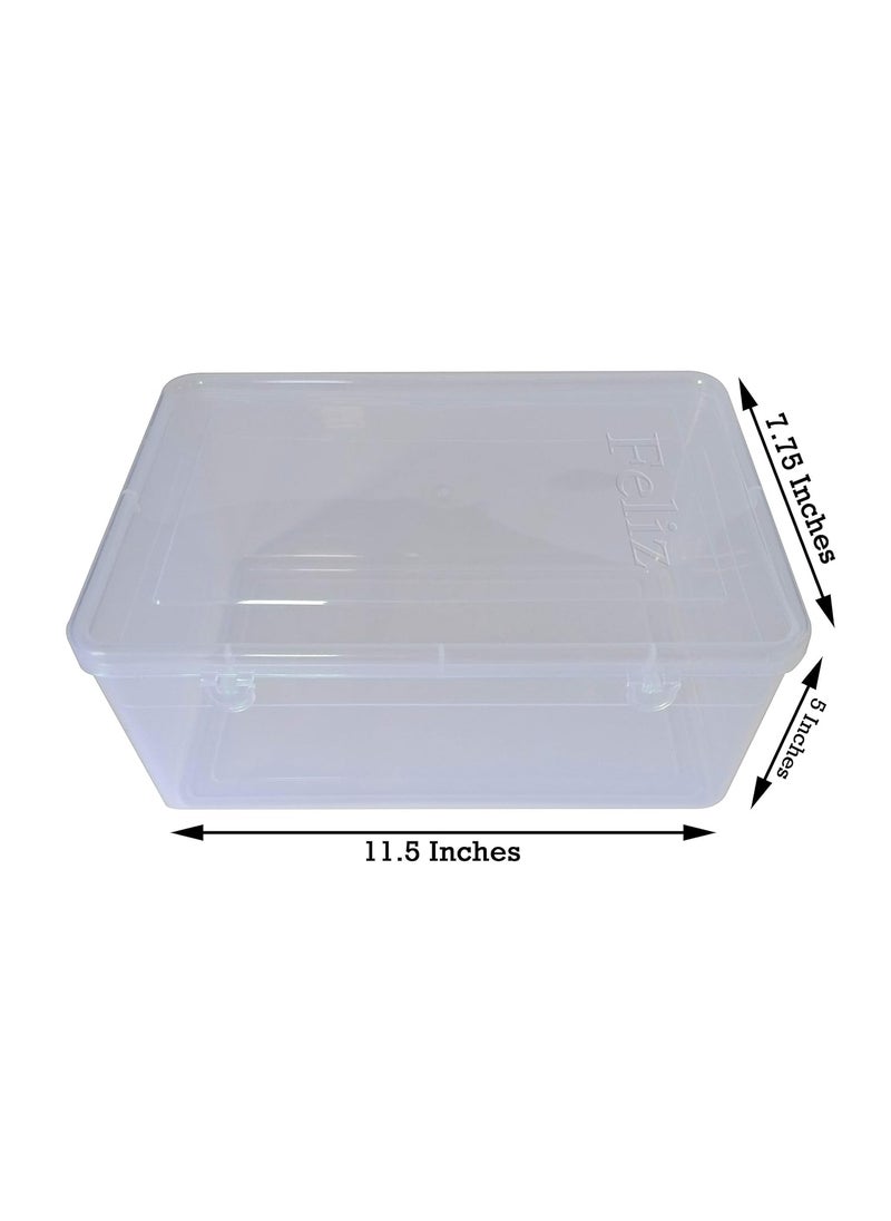 Feliz Clear Plastic Extra Large Storage Box Set of 3 Size 115 x 775 x 5 inches Transparent Rectangular