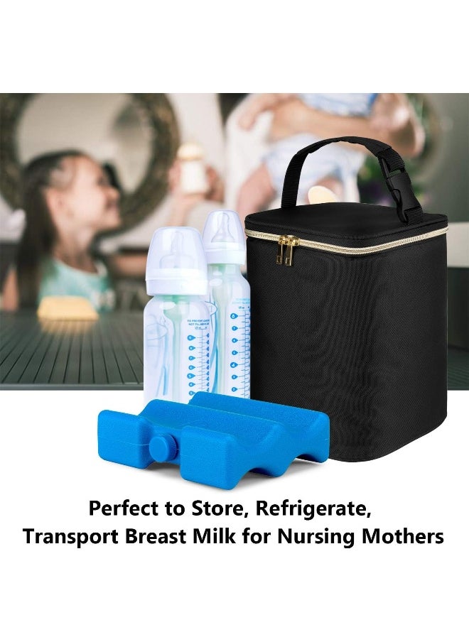 Teamoy Breastmilk Cooler Bag, Baby Bottles Bag