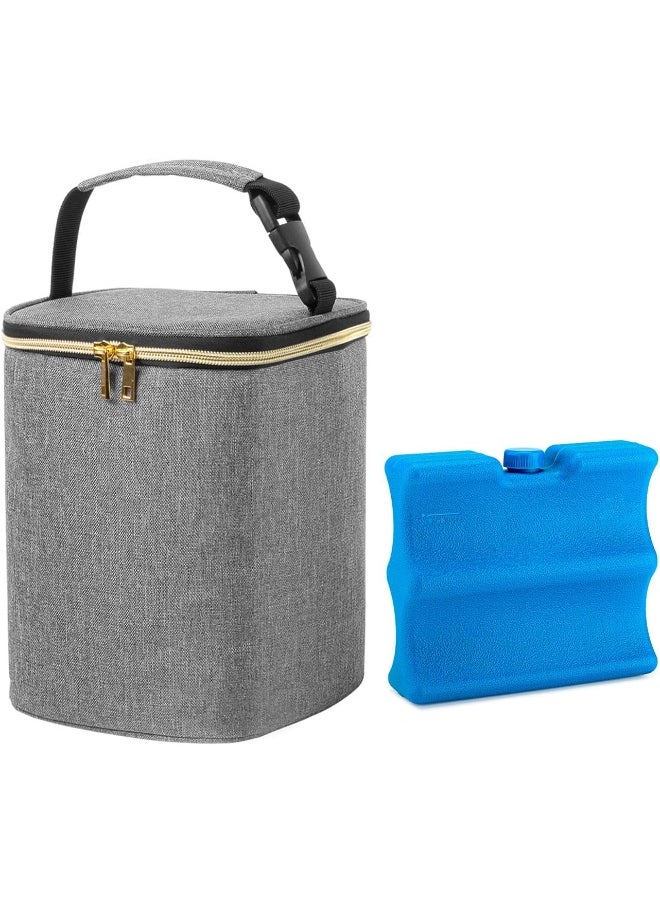 Teamoy Breastmilk Cooler Bag, Baby Bottles Bag