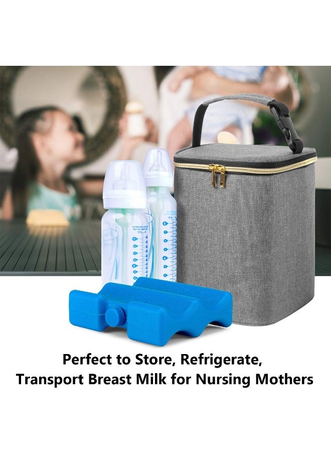 Teamoy Breastmilk Cooler Bag, Baby Bottles Bag