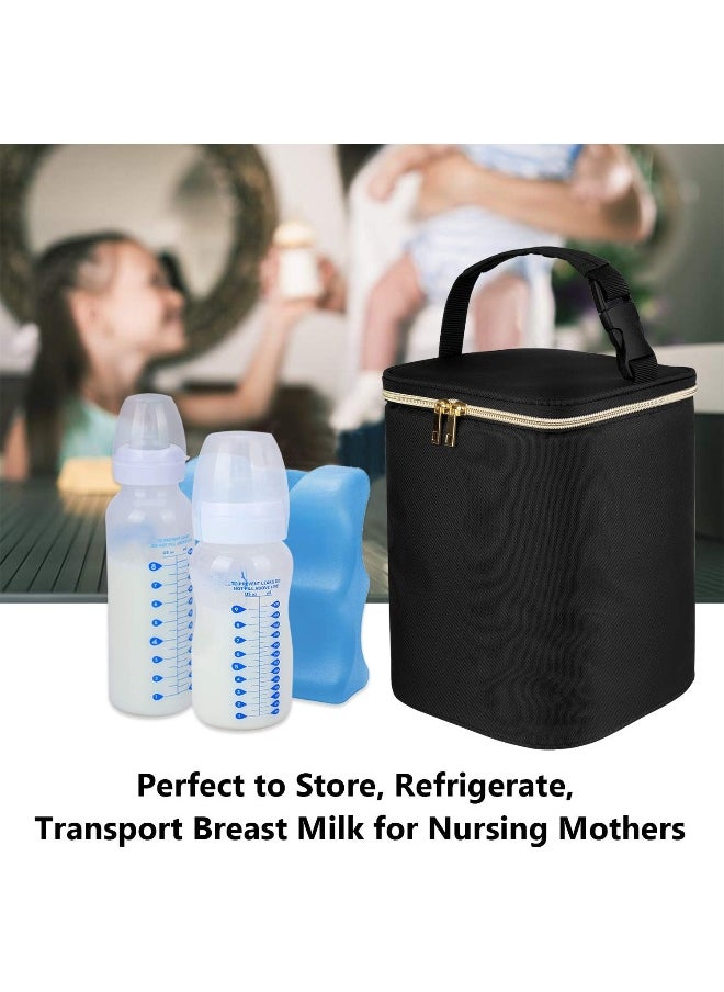 Teamoy Breastmilk Cooler Bag, Baby Bottles Bag