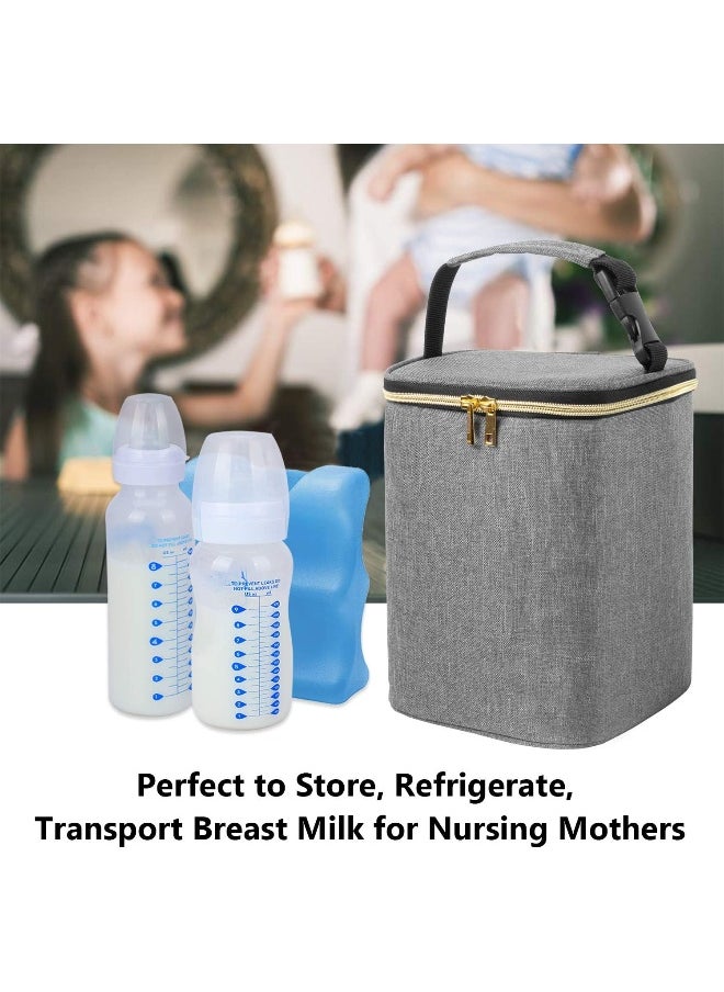 Teamoy Breastmilk Cooler Bag, Baby Bottles Bag