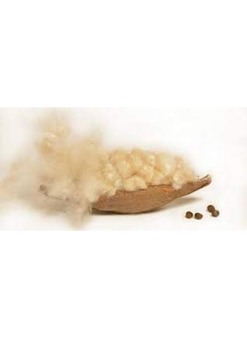 VG MattressOrganic Silk CottonkapokIlavam PanjuSemal Sleeping Pillows Size25 x 15 inches Pack of 2
