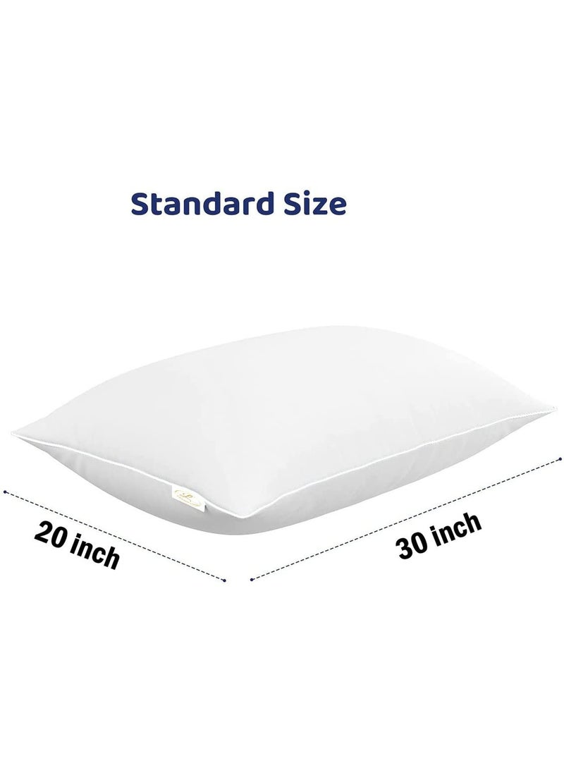 Jaipur Linen Microfibre Polyester 3Piece Bed Pillow Set 20 x 30 Inch White