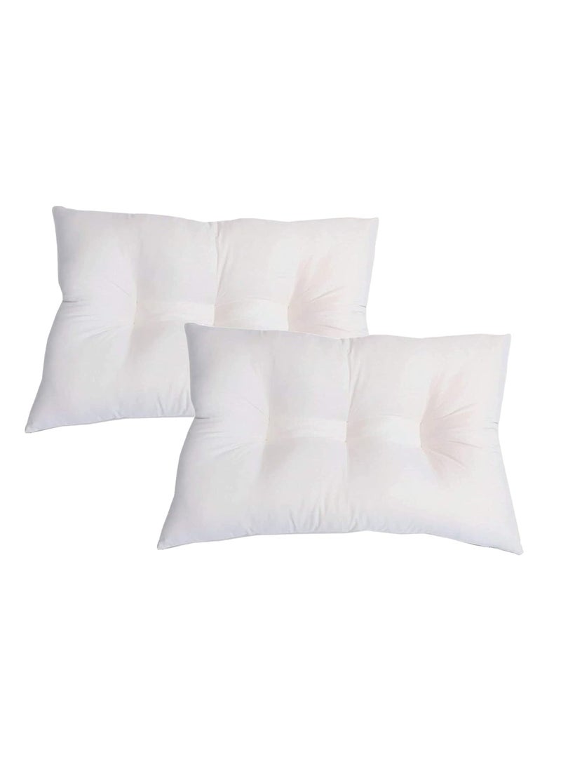 VG MATTRESSOrganic Silk CottonSemalIlavam PanjuKapok Natural Contouring Sleeping Pillows Size 20x 30 inches Pack of 2 Pillows 2 Queen