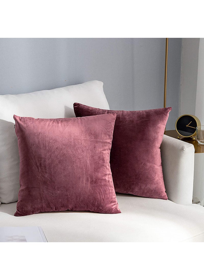 AEROHAVEN Premium Velvet Reversible Decorative Throw PillowCushion Covers with Invisible Zipper 16 x 16 Inch Wine