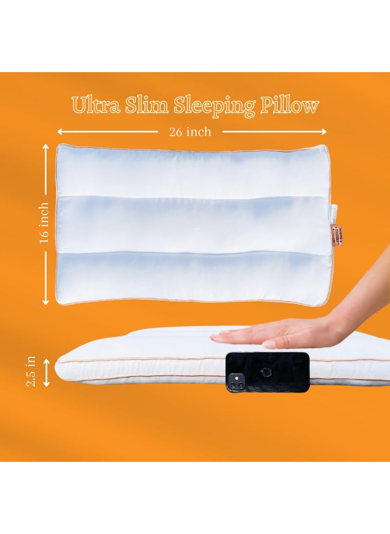 Homerz Thin Stomach Sleeper Bed Pillows for Sleeping 25 Inch Thin Slim Flat Pillow for Stomach and Back Sleepers Extra Low Profile Pillow Machine Washable17x27 Set of 2 Slim