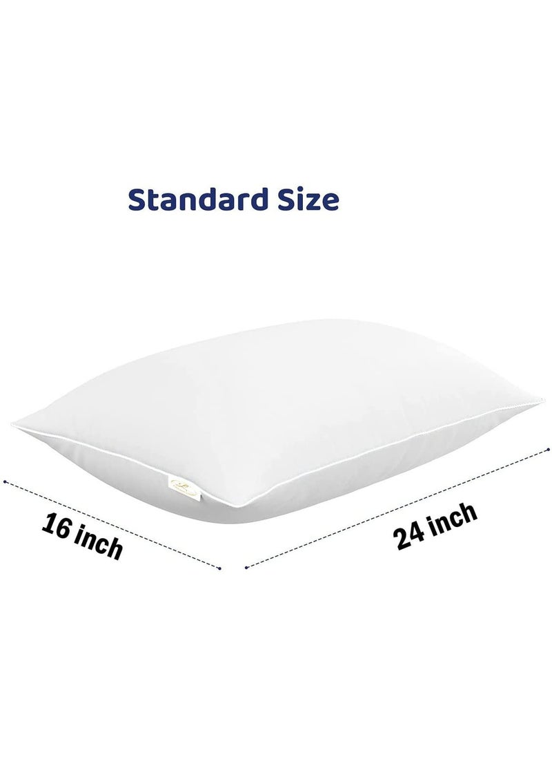 Jaipur Linen Microfibre Polyester 2Piece Bed Pillow Set 16 x 24 Inch White