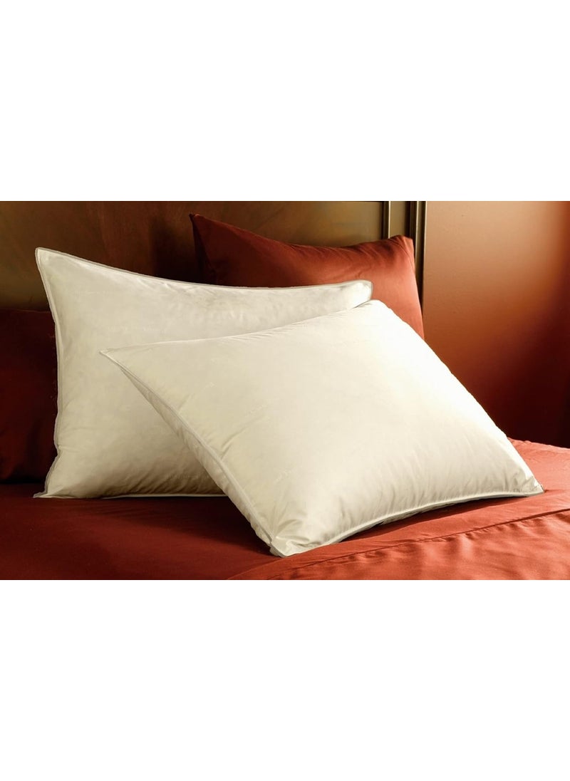 BOOMING PILLOW Polyester Fibre Pretty Sleeping Pillow Pack of 2White 41x62