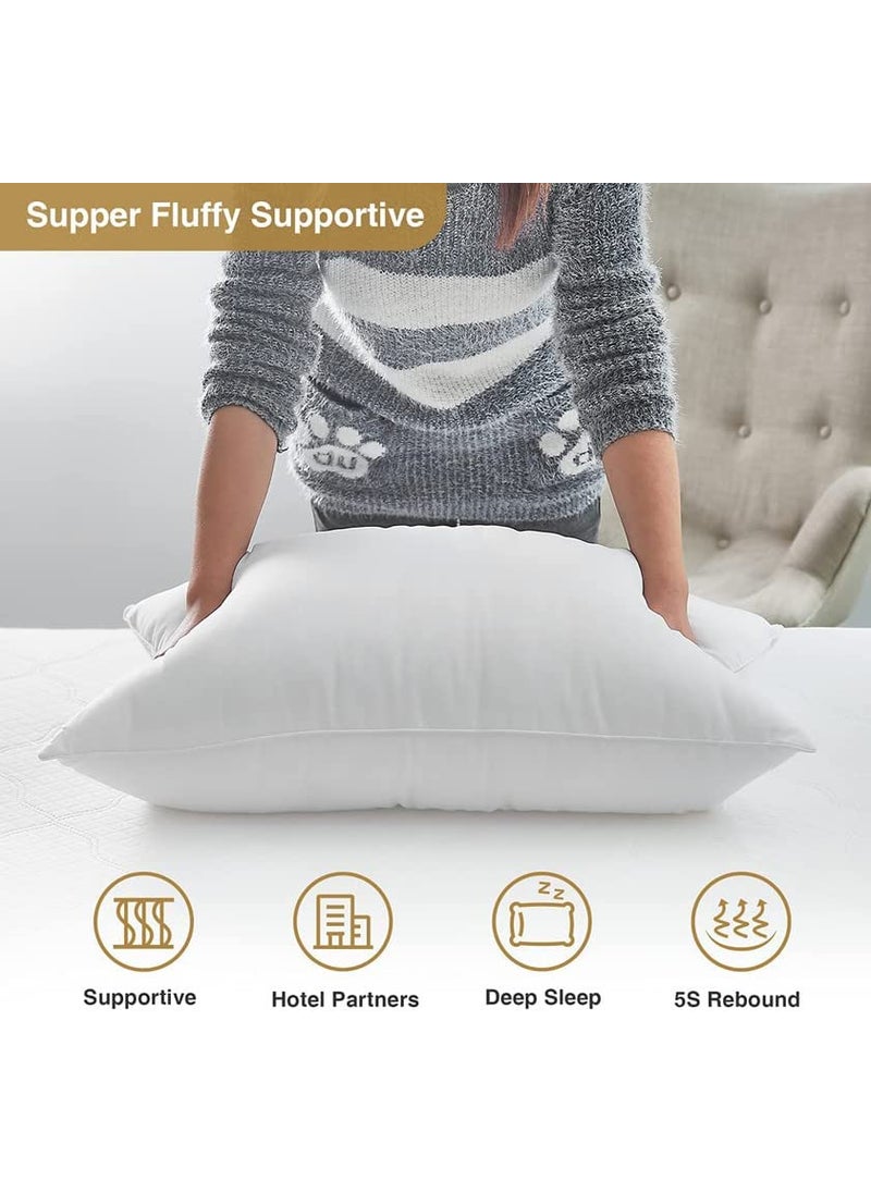 Jaipur Linen Microfibre Polyester 3Piece Bed Pillow Set 17 X 27 Inch White