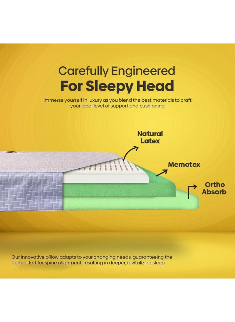 SLEEP XPERT Adaptex Pro 3 Layer Adjustable Memotex Orthopedic Pillow Natural Latex Memory Foam Pillow Free Viscose Cotton Zipper Cover 3 Years Replacement Warranty 25x17x5 Inch Pack of 4