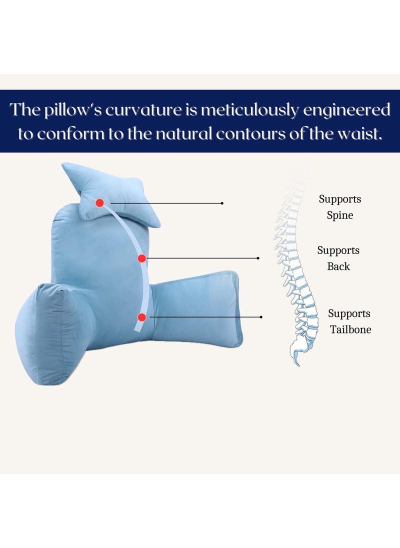 Dormyo Headrest Bear Reading Back Support Back Rest Pillow for Back Pain Bed with Support Arms Velvet Zipper Washable Cover Pillow 68x72x30 Cm Baby Blue Winters Sale