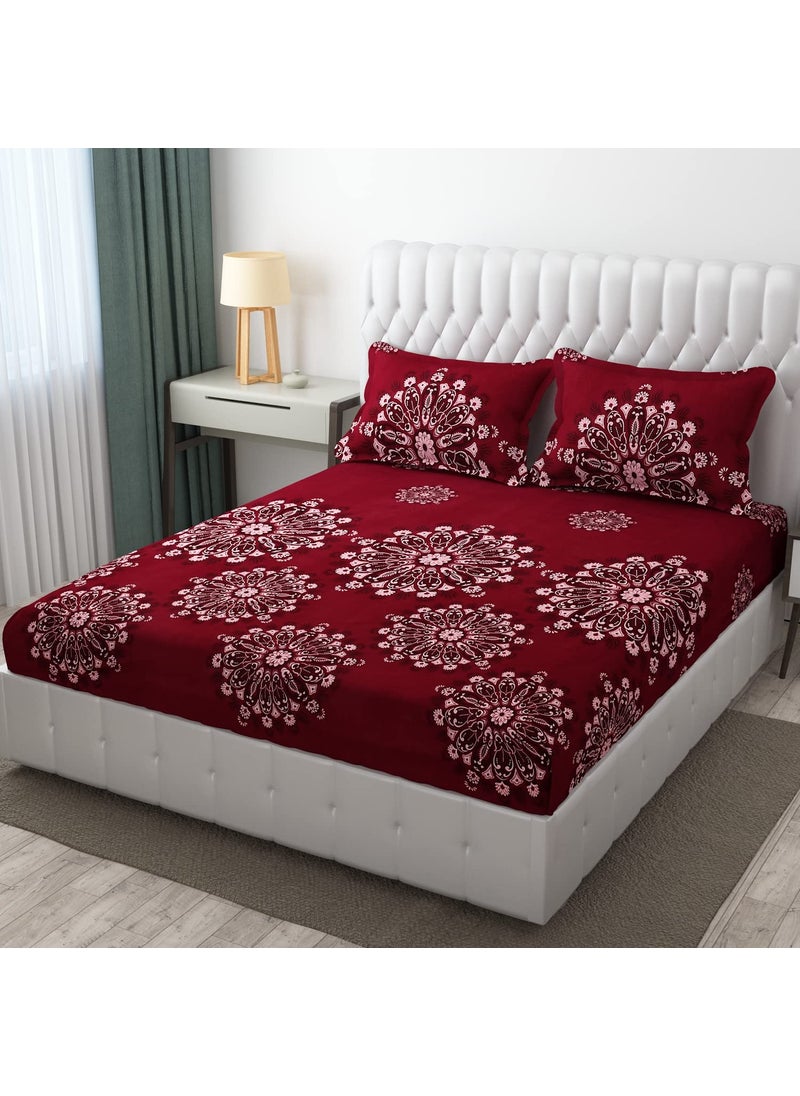 Castiqa Elastic Fitted Brushed Microfiber Polycotton 210TC Double Bedsheets King Size 72x78 Inch with 2 Pillow Covers Fits Upto Mattress of 10 Inches Queen 60x78 Winne