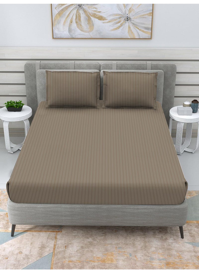 COZY FURNISH Super Soft Brushed Microfiber Cotton Satin Striped Elastic Fitted Bedsheet with 2 Pillow Covers72X78Inches Elastic on All Around Side to Grip The Mattress