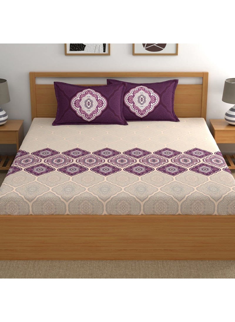 Dreamscape 100 Cotton Double Bedsheet with 2 Pillow Covers Size 86 x 98 inches 140 TC Colour Purple