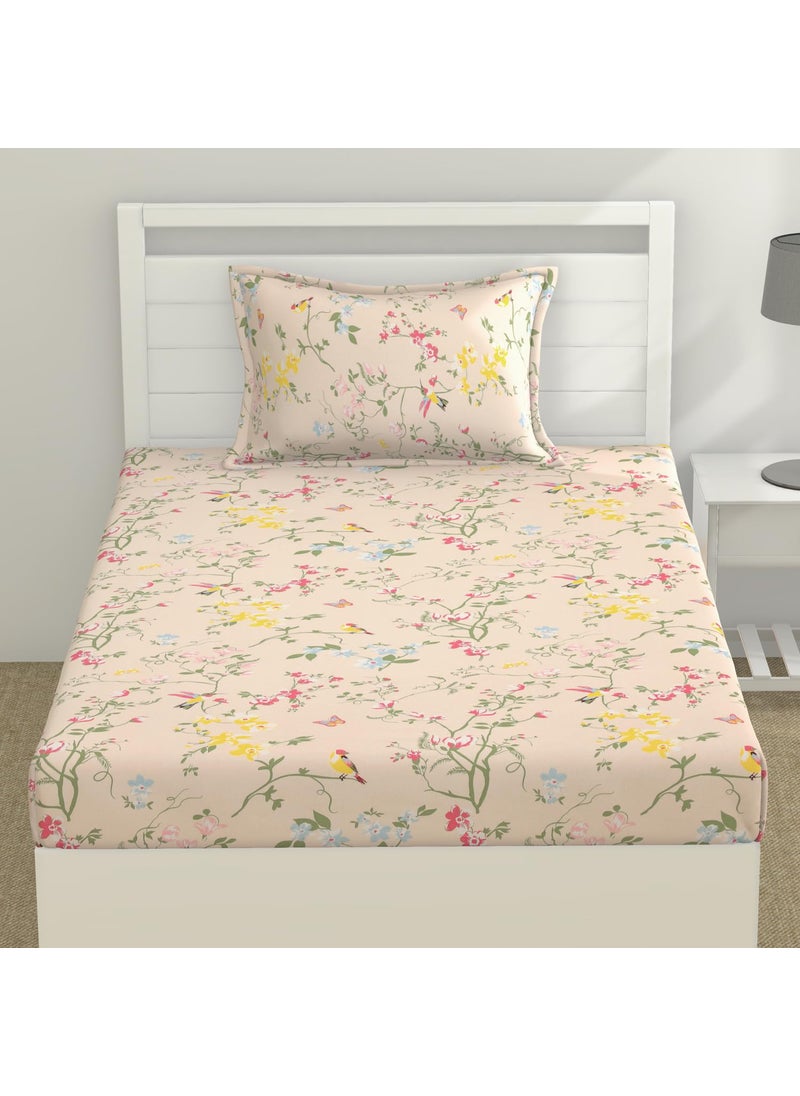 Haus Kinder Cotton Single Bed Sheet Set 186 TC Breathable Fabric with 1 Pillow Cover Peach Flower Print
