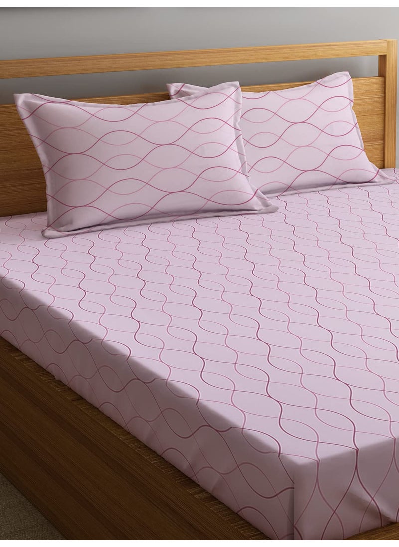 Ambra Linens 180TC Premium Bed Sheet Set Bed Sheet Double Bed 100 Cotton Bed Sheet Soft Smooth Flat Sheets Bed Sheet for AllSeason Use 1 Bedsheet and 2 Pillowcases Queen Size