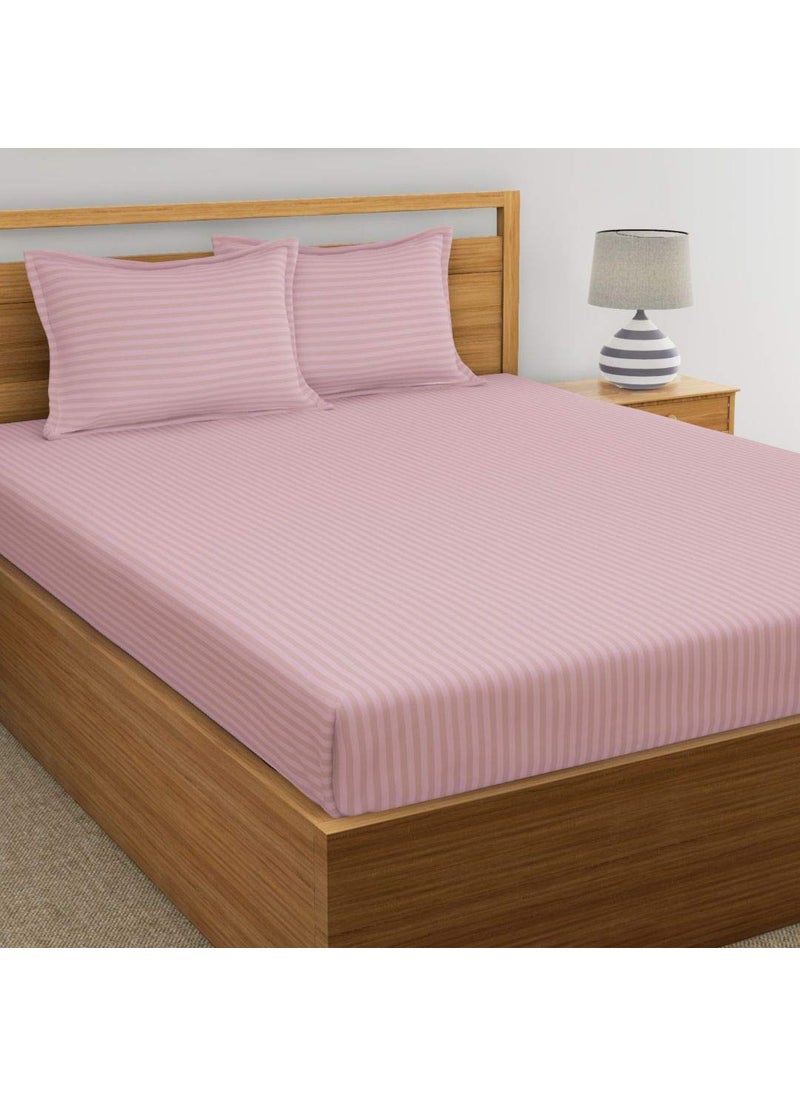 Dreamscape Cotton 220 Tc Double Bedsheets with Pillow Cover Self Striped Pink