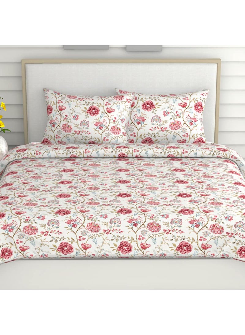 haus kinder King Size Bedsheets for Bed 186 TC 100 Cotton Bed Sheet for King Size Bed with 2 Pillow Covers Color Bedsheet Morden Heritage