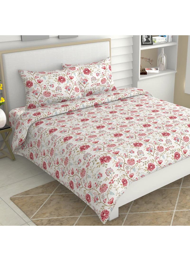 haus kinder King Size Bedsheets for Bed 186 TC 100 Cotton Bed Sheet for King Size Bed with 2 Pillow Covers Color Bedsheet Morden Heritage