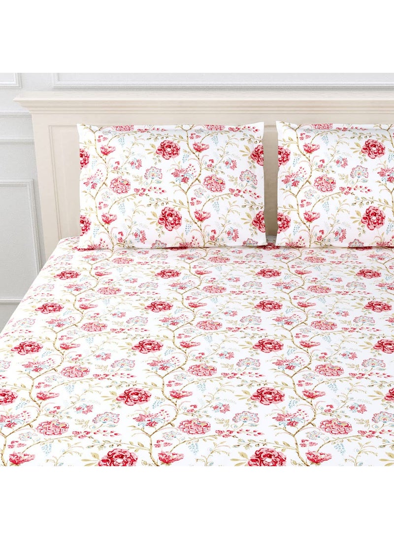 haus kinder King Size Bedsheets for Bed 186 TC 100 Cotton Bed Sheet for King Size Bed with 2 Pillow Covers Color Bedsheet Morden Heritage