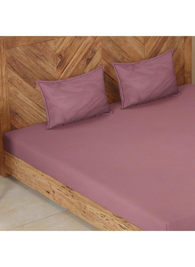 CloudWeave Home Company Premium Microfibre King Size Fitted Bedsheet 72 x 78 inches 10 Inch Drop with 2 Pillow Covers 18 x 27 Inches Solid Color Plum