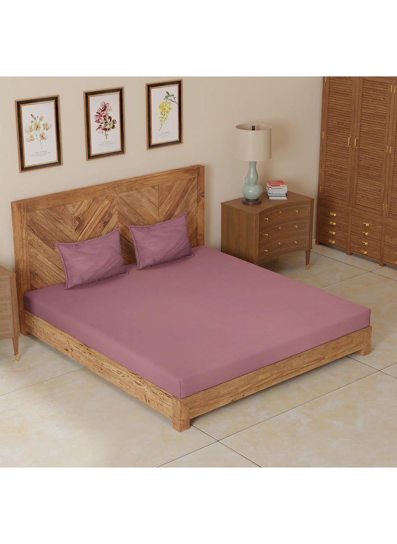 CloudWeave Home Company Premium Microfibre King Size Fitted Bedsheet 72 x 78 inches 10 Inch Drop with 2 Pillow Covers 18 x 27 Inches Solid Color Plum