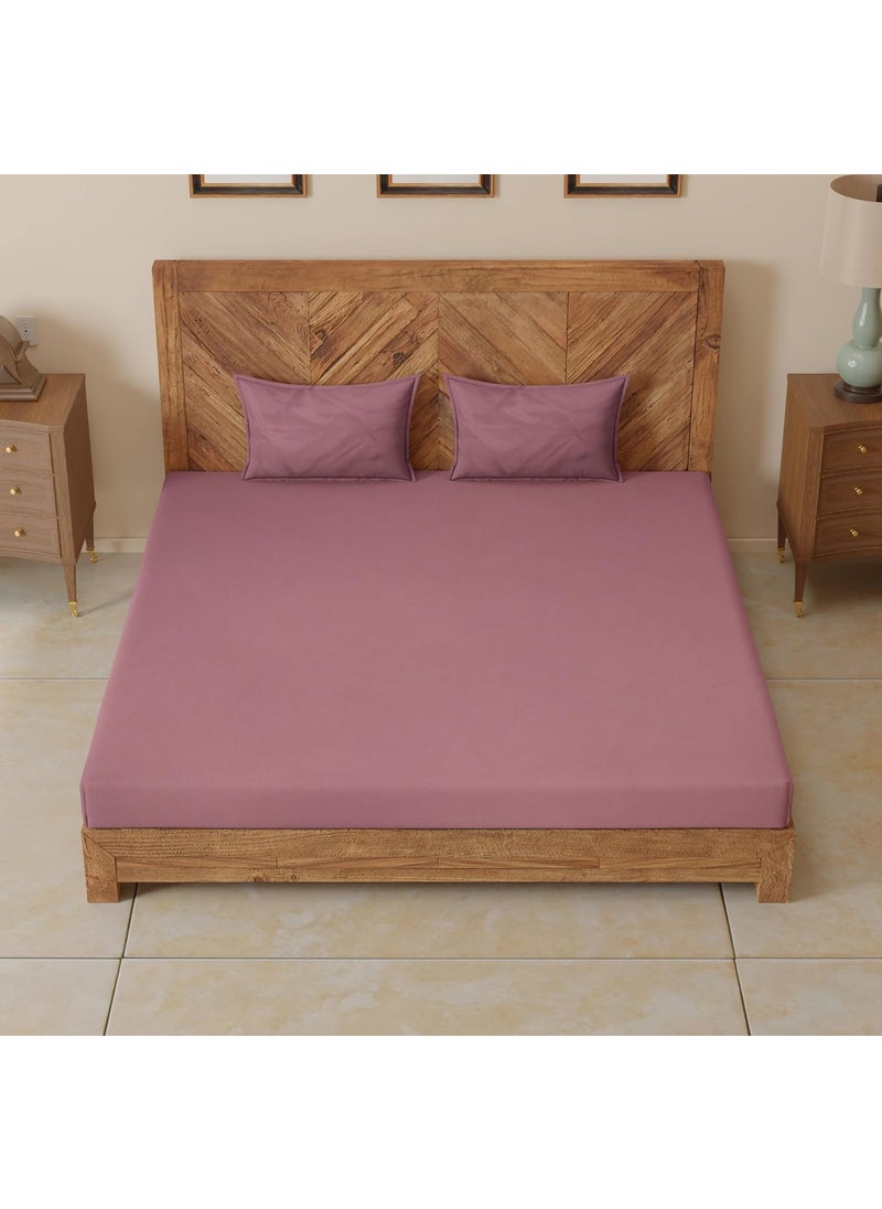 CloudWeave Home Company Premium Microfibre King Size Fitted Bedsheet 72 x 78 inches 10 Inch Drop with 2 Pillow Covers 18 x 27 Inches Solid Color Plum