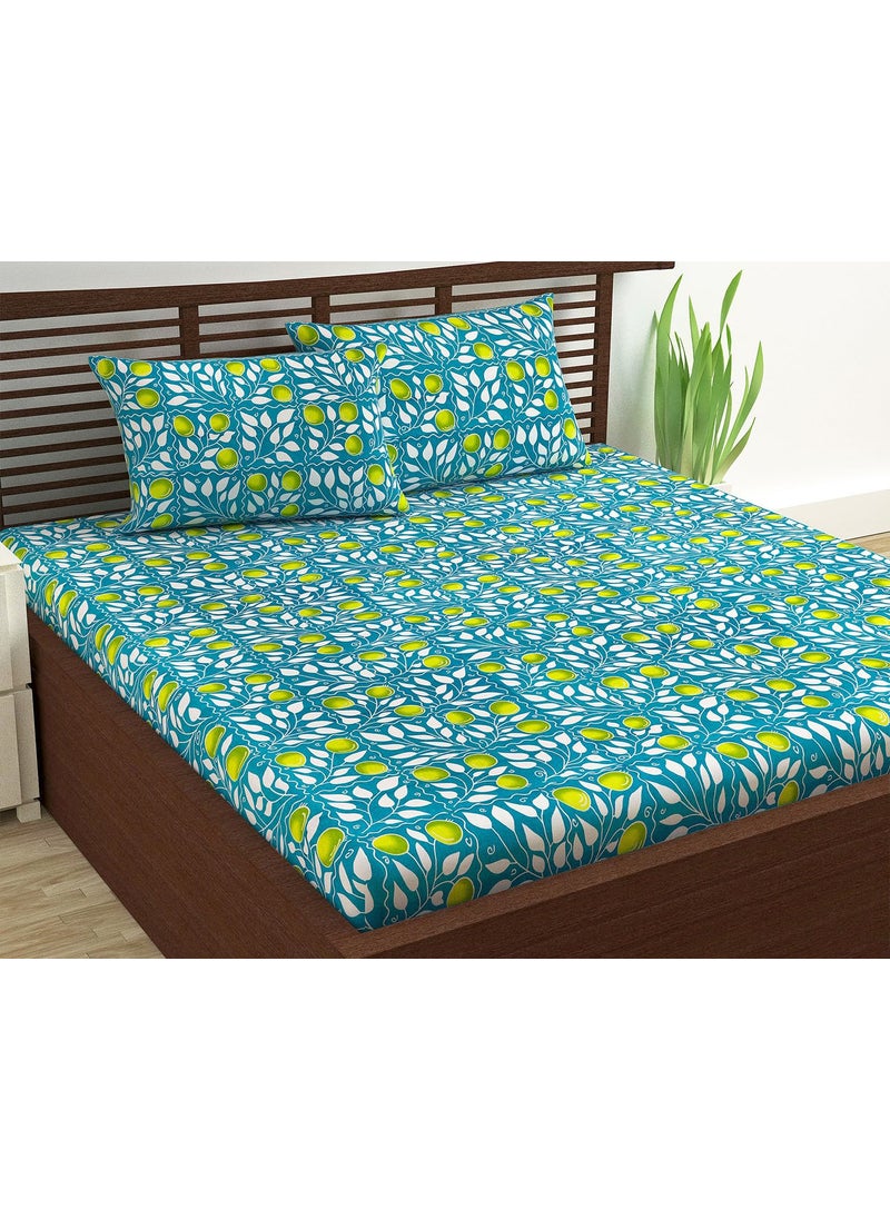Divine Casa 100 Cotton Bedsheet Set for Double Bed 1 Double Cotton Bedsheet 2 Pillow Covers 144 TC Breathable WrinkleFree Aesthetic Double Bedsheet Set Ditsy Dale