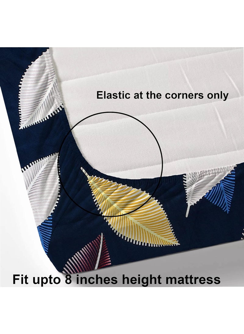 AEROHAVEN 180TC Glace Cotton Abstract Fitted Double Queen Bedsheet with 2 King Size Pillow Covers 72 x 78 GCB23 Blue