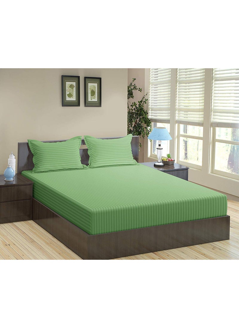 Comfy Cotton 210 TC Double Bedsheet with 2 Pillow Covers King Size Moss Green
