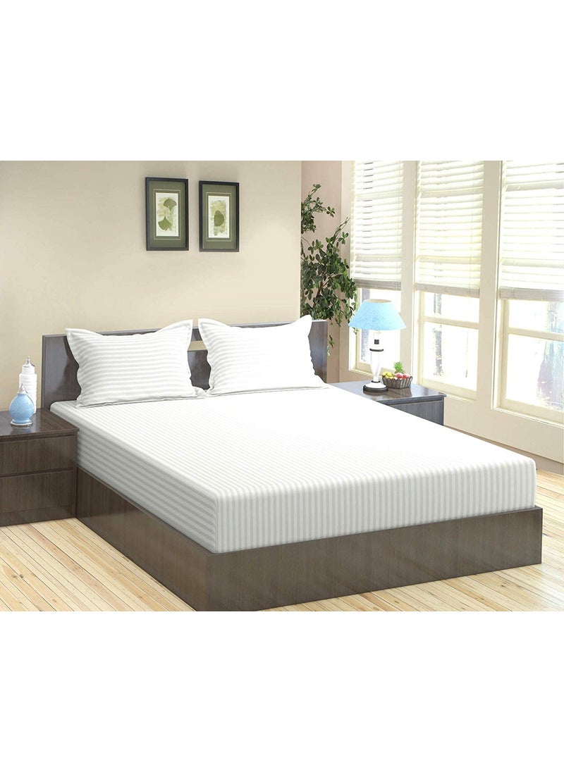 Comfy Cotton 210 TC Double Bedsheet with 2 Pillow Covers King Size White