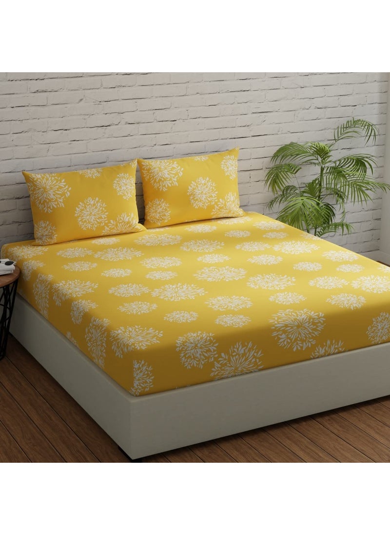 Huesland by Ahmedabad Cotton 144 TC Cotton Bedsheet for Double Bed King Size with 2 Pillow Covers Yellow 9ft x 9ft