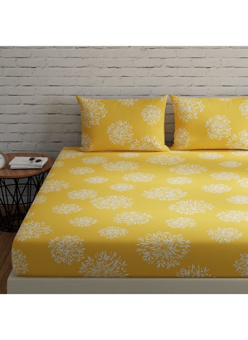 Huesland by Ahmedabad Cotton 144 TC Cotton Bedsheet for Double Bed King Size with 2 Pillow Covers Yellow 9ft x 9ft