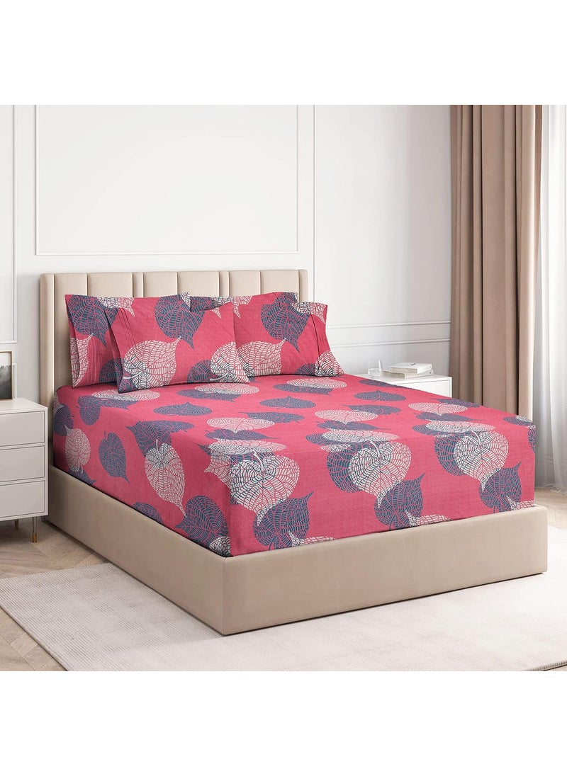 VAS COLLECTIONS Premium Elastic Fitted Bedsheets with 2 Pillow Covers Double Bed with All Around Elastic 160 TC Supersoft Size 72x7810 inches Pink and Light Green