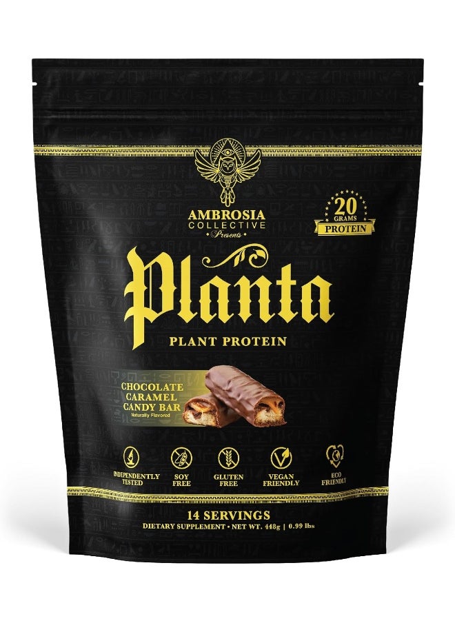Planta - Premium Organic Plant-Based Protein | Vegan & Keto Friendly | Gourmet Flavors With No Bloating Or Stomach Upset | Gluten & Soy Free | No Added Sugar | 14 Servings | (Candy Bar)